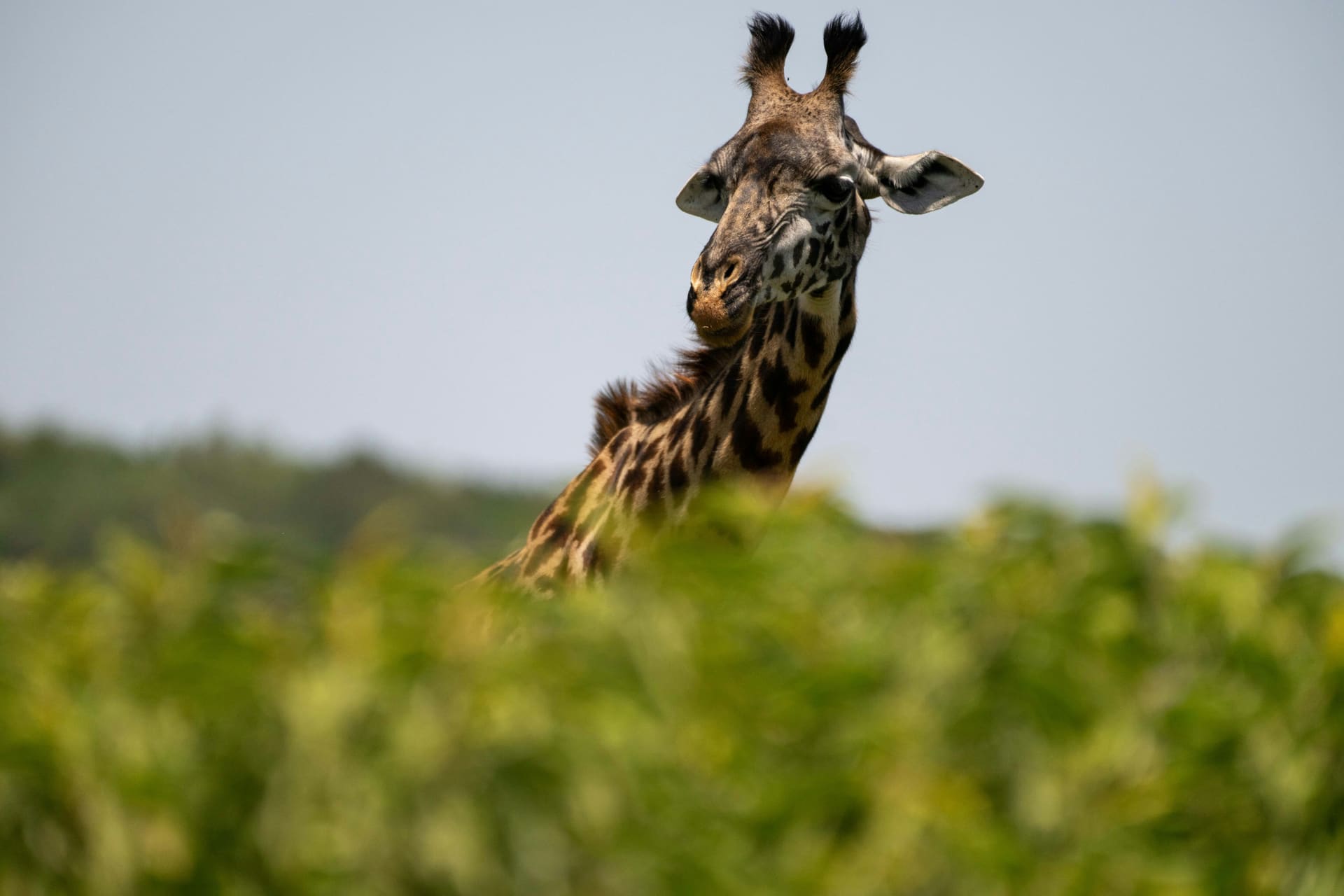 Rwanda