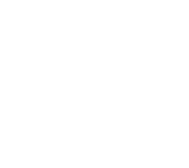 Touring Bush Safaris logo