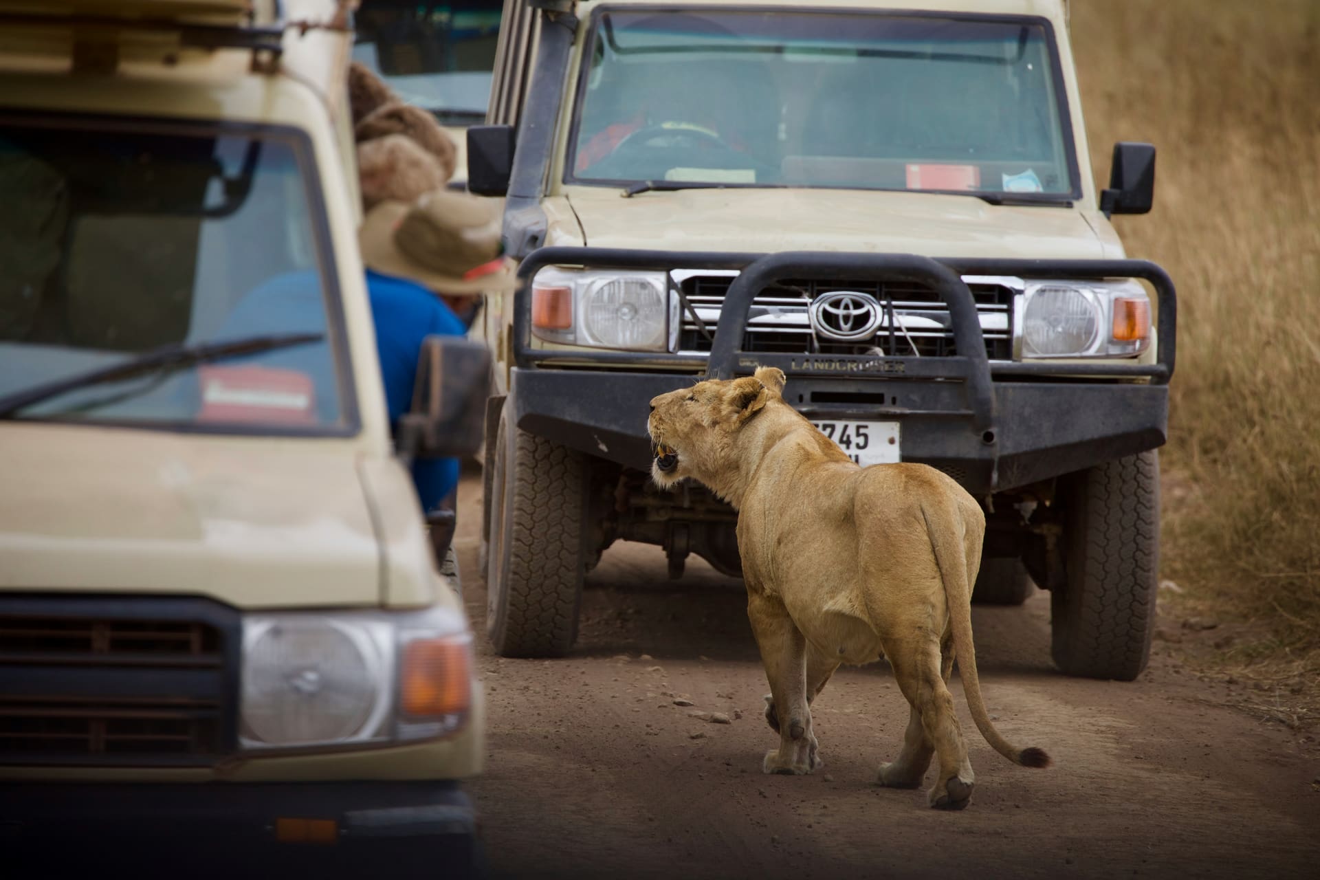 Safari vehicle in the bush