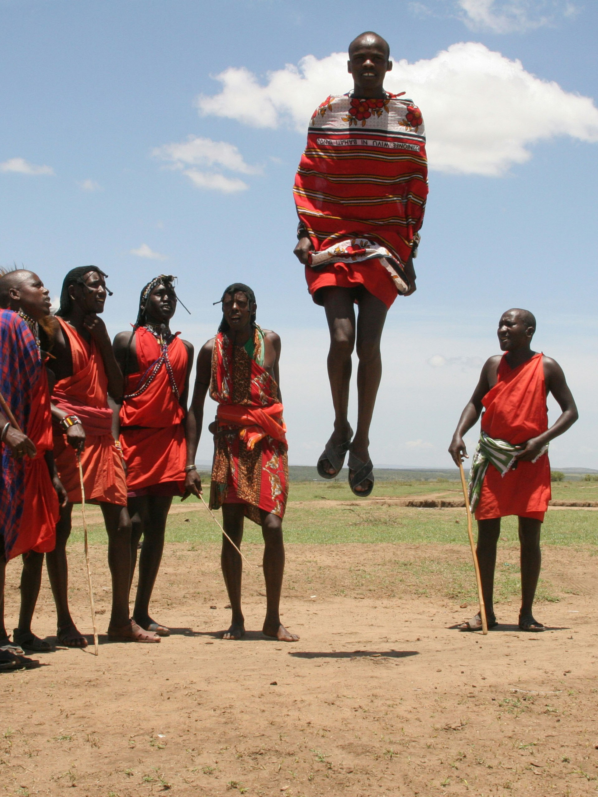 Touring Bush Safaris photo 1