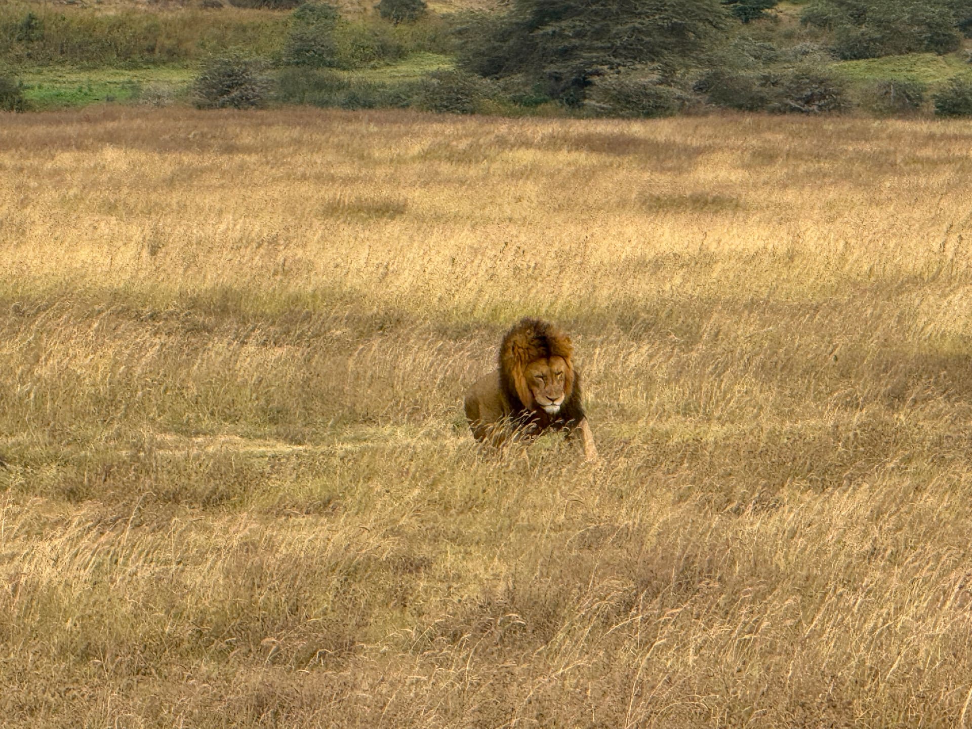 Touring Bush Safaris photo 2