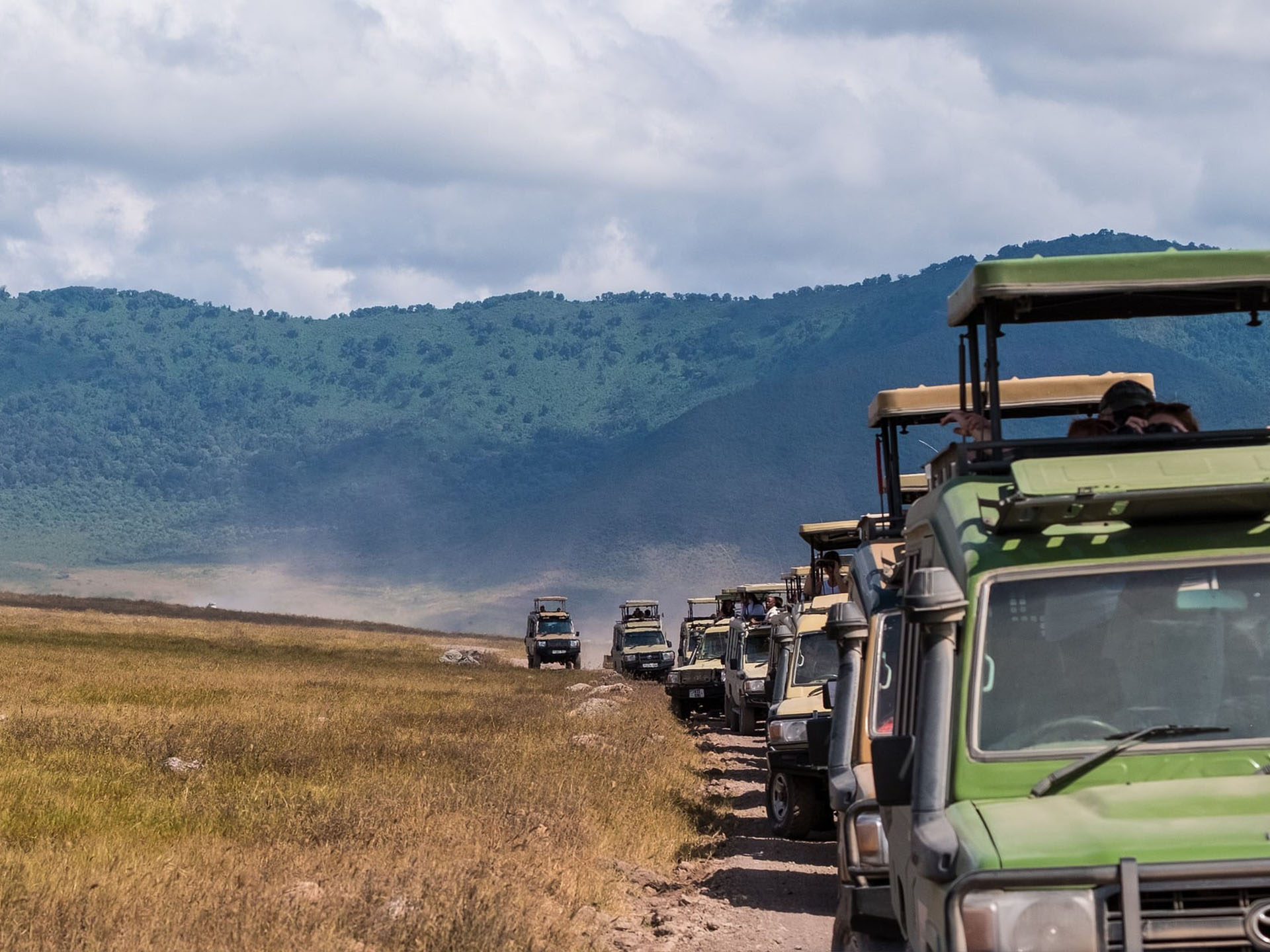 Touring Bush Safaris photo 3