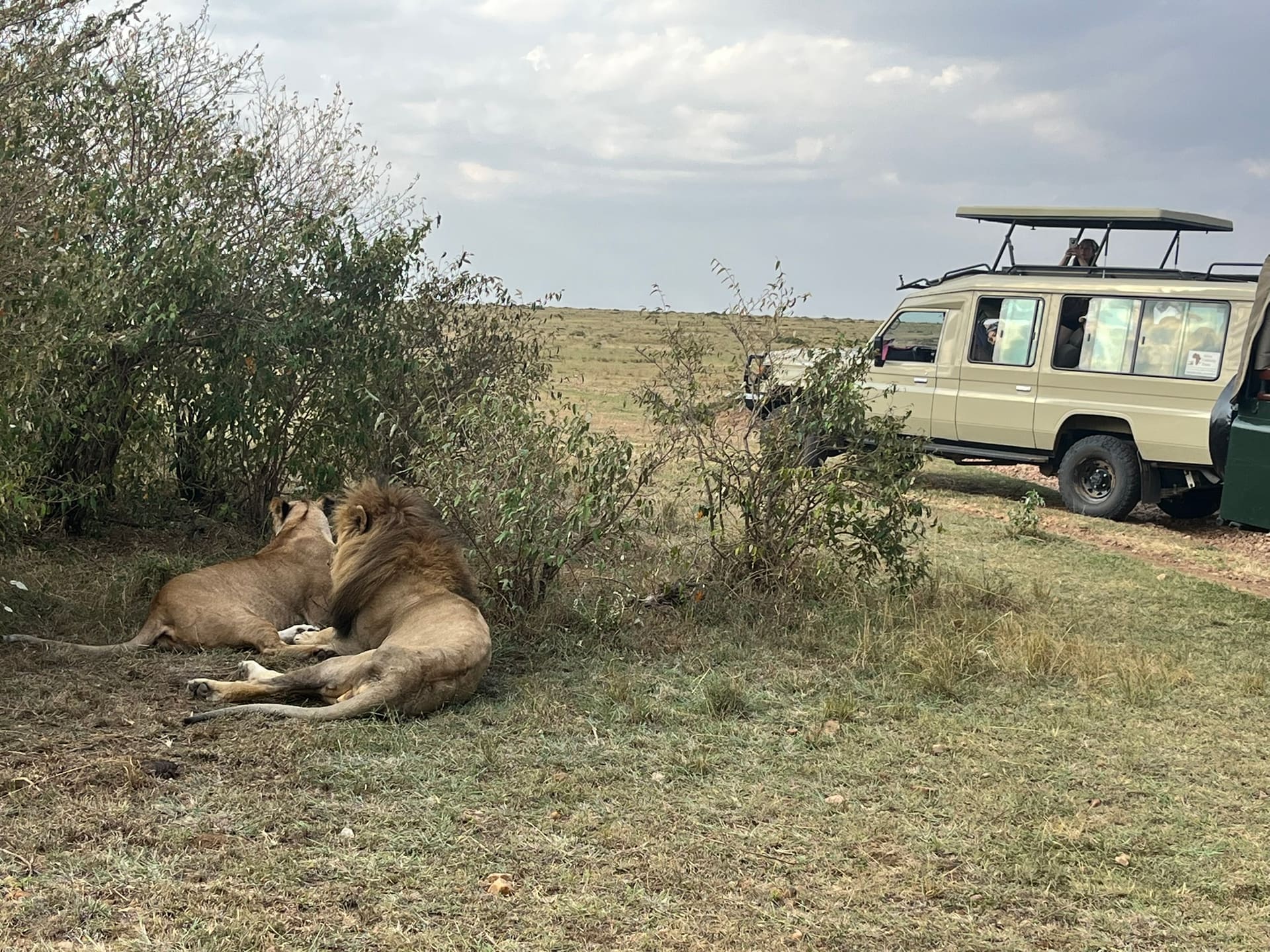 Touring Bush Safaris photo 6