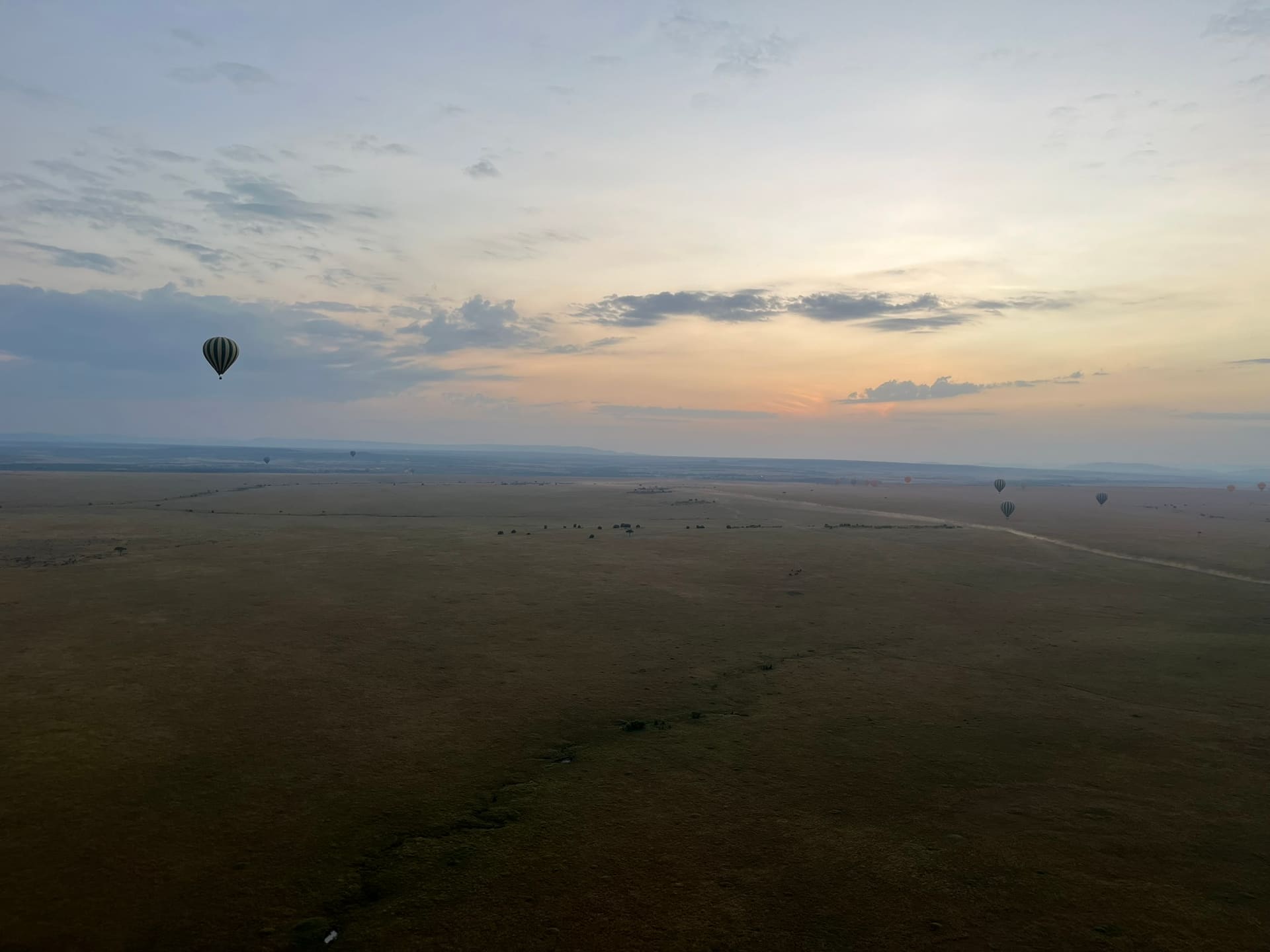 Touring Bush Safaris photo 14
