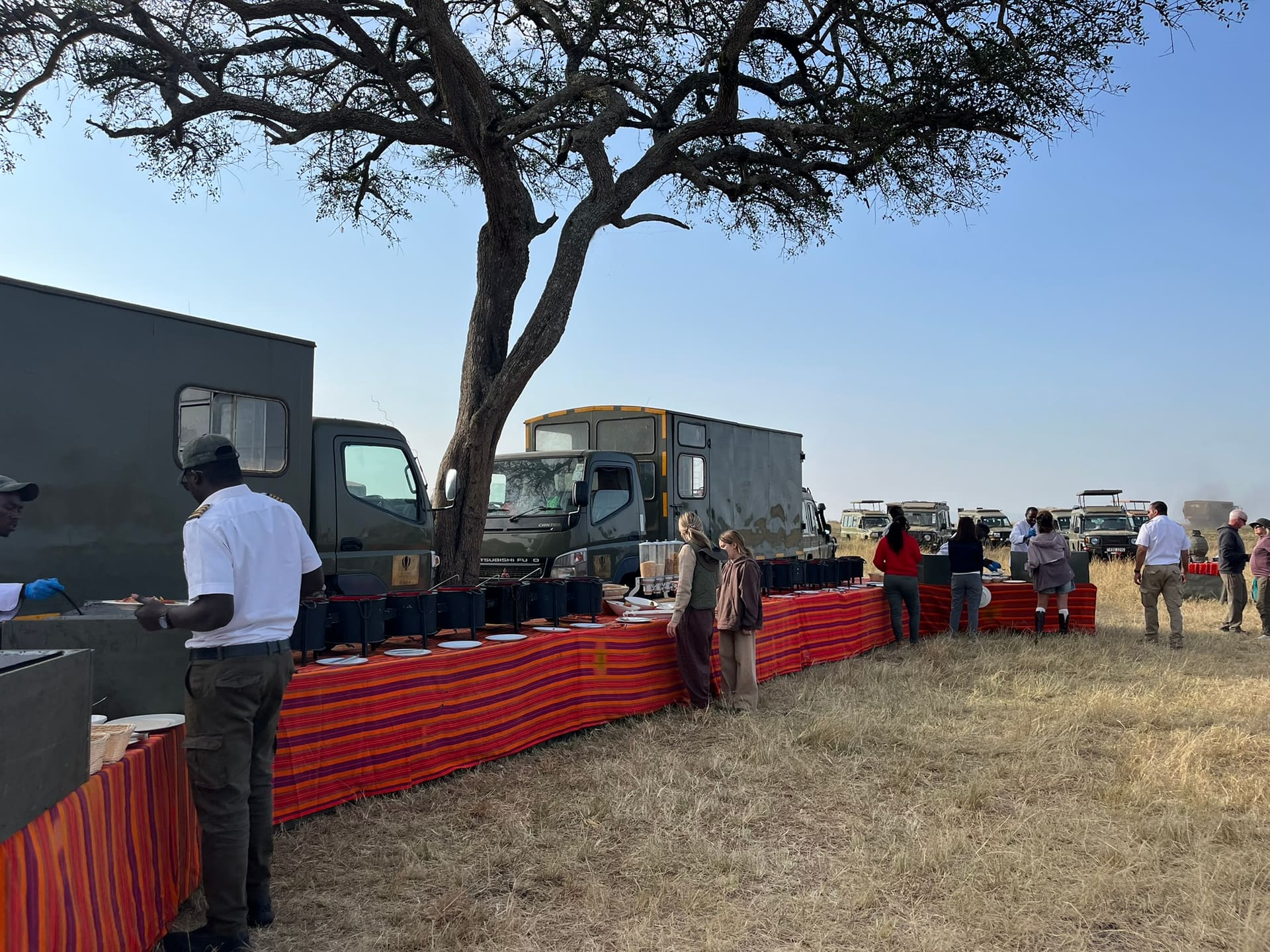 Touring Bush Safaris photo 19